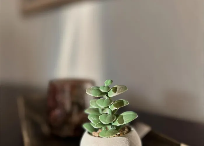 Lägenhet Stan Na Dan 4, Sarajevo